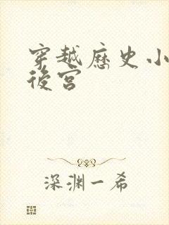 穿越历史小说开后宫封面