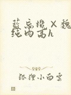 蓝忘机×魏无羡纯肉高h封面