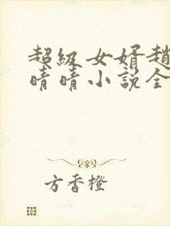 超级女婿赵旭李晴晴小说全文免费阅读封面