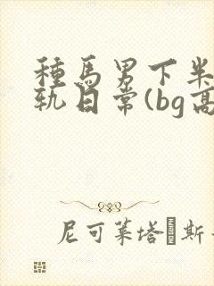 种马男下半身出轨日常(bg高h)