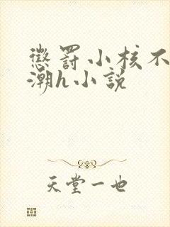 惩罚小核不停高潮h小说封面