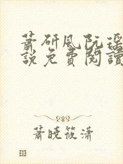 萧研风阮瑶光小说免费阅读最新章节