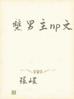双男主np文