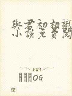 与君初相识原著小说免费阅读