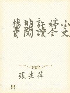 杨明许婷小说免费阅读全文最新章节