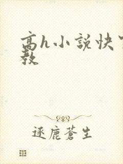 高h小说快穿调教