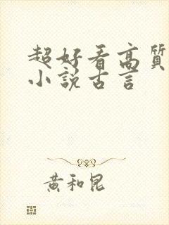 超好看高质量的小说古言