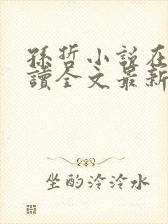 孙哲小说在线阅读全文最新