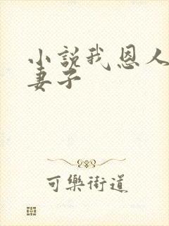 小说我恩人搞我妻子封面