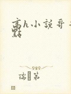 高h小说哥哥轻点封面