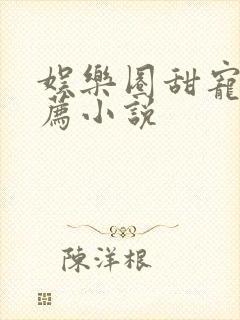 娱乐圈甜宠文推荐小说