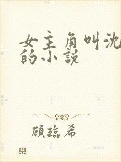 女主角叫沈知意的小说封面