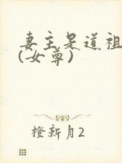 妻主是道祖大人(女尊)封面