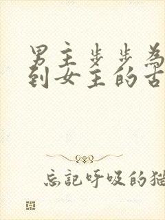 男主步步为营得到女主的古言