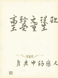 高干文从政双男主受重生