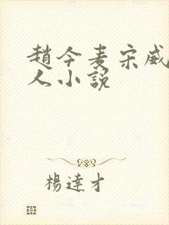 赵今麦宋威龙同人小说封面