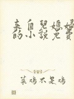 来自儿媳妇的爱的小说免费阅读全文