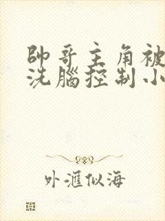 帅哥主角被催眠洗脑控制小说