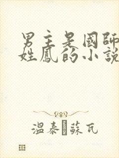 男主是国师女主姓凤的小说封面