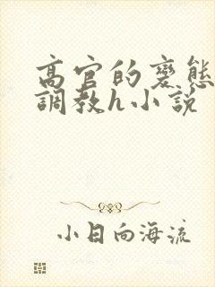 高官的变态玩弄调教h小说