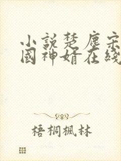 小说楚尘宋颜镇国神婿在线阅读