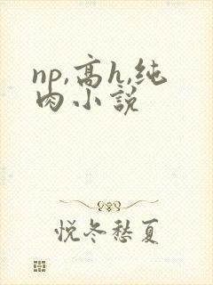 np,高h,纯肉小说