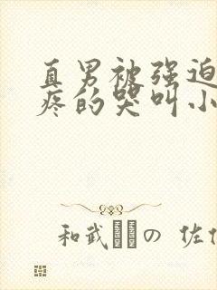 直男被强迫做零疼的哭叫小说