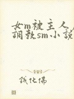 女m被主人虐玩调教sm小说