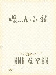 嗯...h小说