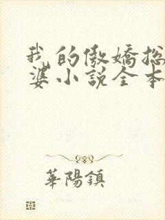 我的傲娇总裁老婆小说全本免费阅读