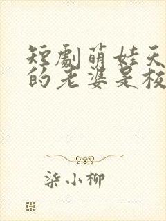 短剧萌娃天降我的老婆是校花