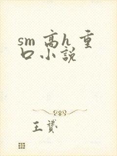 sm 高h 重口小说封面