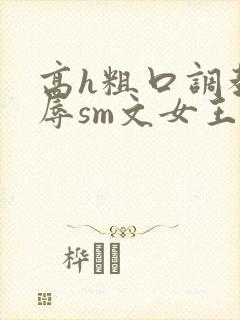 高h粗口调教羞辱sm文女王封面