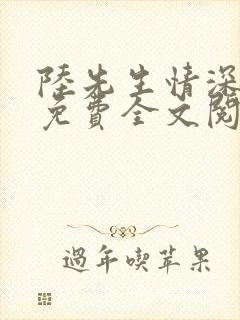 陆先生情深未晚免费全文阅读大结局