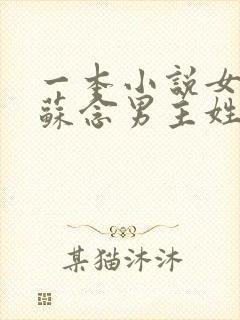 一本小说女主叫苏念男主姓陆