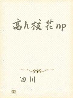 高h校花np