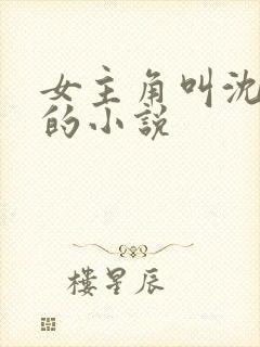 女主角叫沈清韵的小说