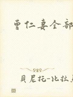 曹仁妻全部小说