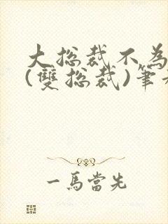 大总裁不为人知(双总裁)笔趣阁封面