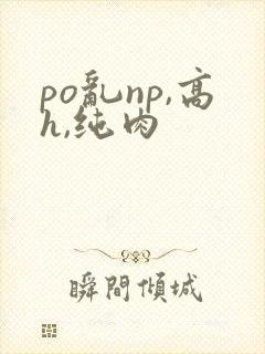po乱np,高h,纯肉