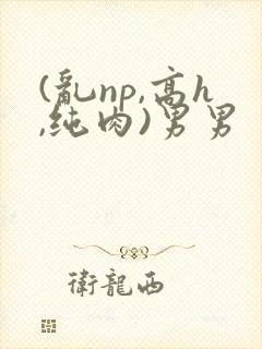(乱np,高h,纯肉)男男