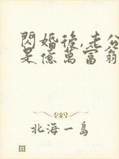 闪婚后,老公竟是亿万富翁txt