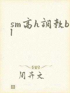 sm高h调教bl