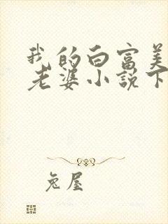 我的白富美总裁老婆小说下载