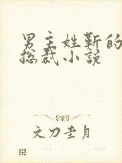 男主姓靳的霸道总裁小说