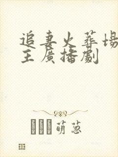 追妻火葬场双男主广播剧