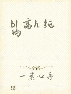 bl 高h 纯肉