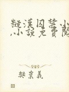 糙汉囚禁小美人,小说免费阅读封面