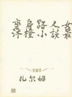 变身路人女婊苏沐橙小说最新章节更封面