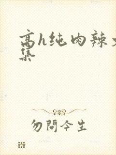 高h纯肉辣文合集封面